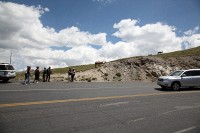 A Park Ranger has to keep people in check.  Approaching these elk too closely is very dangerous.