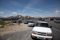 The road is clogged with people stopping to observe the elk.