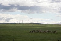 This is a large wind farm in northern Colorado.  I love the sounds of those giant blades turning, but they frighten my wife.