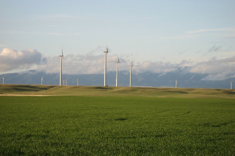 This is another wind farm just south of Great Falls.  This picture was taken with my little Canon SD700IS PowerShot.  Later I was stopped for road construction right under these windmills for about 15 minutes.  I wish I could have taken some shots right under these.  It was a few days before I reconfigured my tank bag to allow me to put my Canon 1DS and 28-300 lens righr in front of me to make it easy to reach.  Throughout this trip I learned things I would do differently next time.