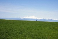 On the Kenai Peninsula