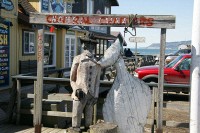 The 'Homer Spit'.