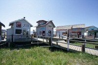 The 'Homer Spit'. These little shops line both sides of this small  finger.