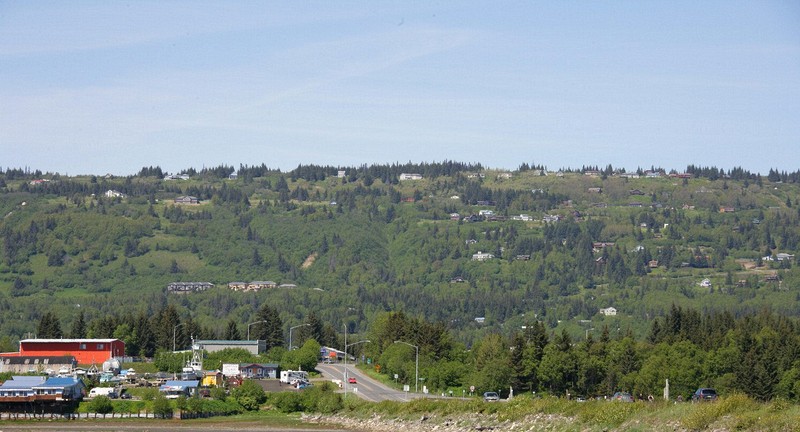 The homes of Homer were spread along the hill overlooking Kachemak Bay