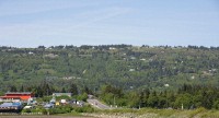 The homes of Homer were spread along the hill overlooking Kachemak Bay