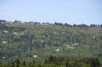The homes of Homer were spread along the hill overlooking Kachemak Bay