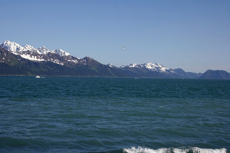 Resurrection Bay from Seward.