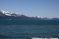 Resurrection Bay from Seward.