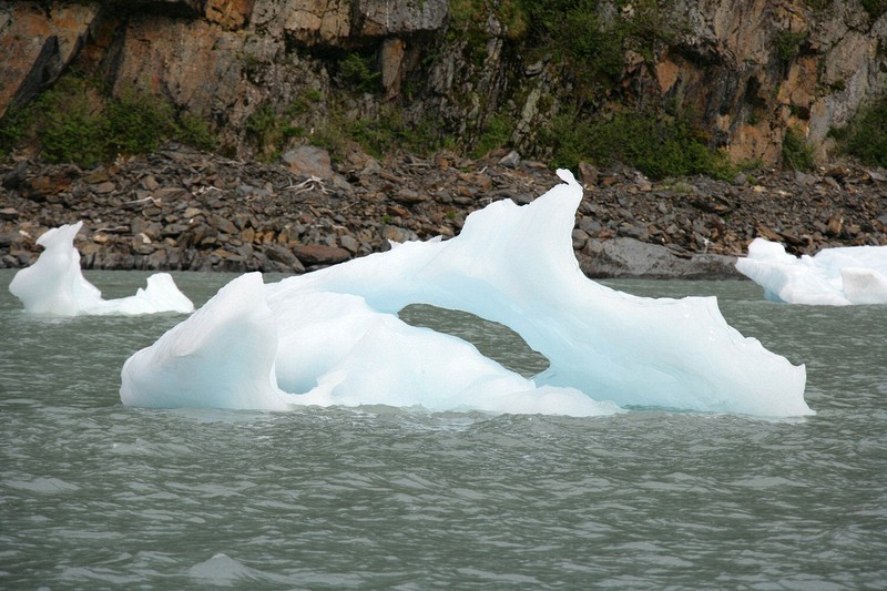 These chunks of ice floating in front of the Portage Visitor Center were interesting.