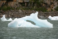 These chunks of ice floating in front of the Portage Visitor Center were interesting.