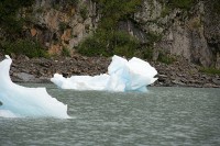 These chunks of ice floating in front of the Portage Visitor Center were interesting.