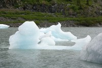 These chunks of ice floating in front of the Portage Visitor Center were interesting.