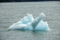 These chunks of ice floating in front of the Portage Visitor Center were interesting.