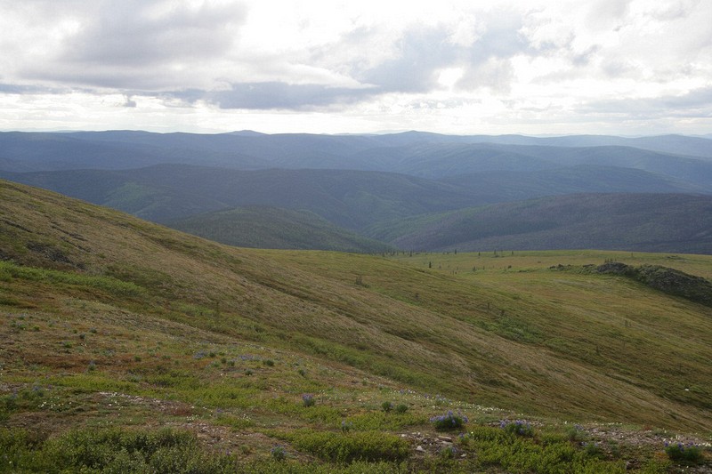 From the Top of the World Highway