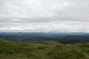 This is a typical view from theTop of the World Highway