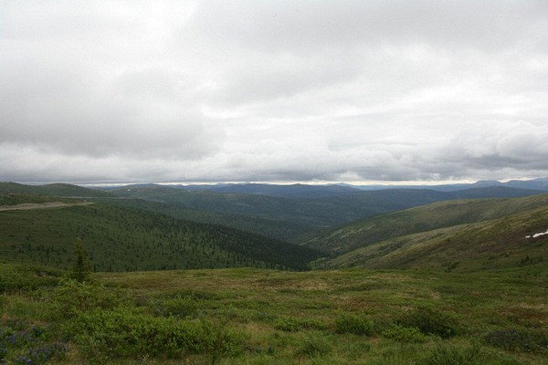 The Yukon side of theTop of the World Highway