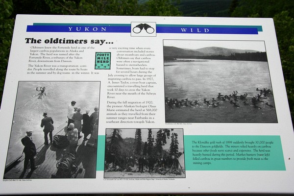 The history of the Foortymile caribou herd