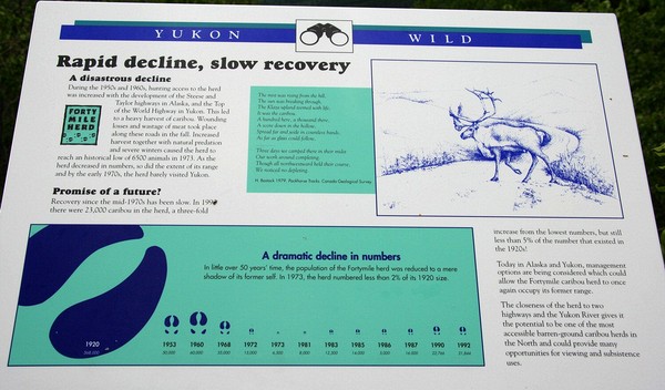 The history of the Foortymile caribou herd