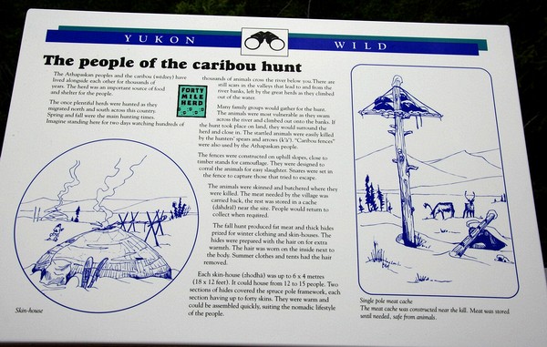 The history of the Foortymile caribou herd