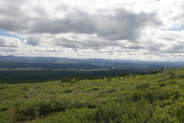 along the Dempster