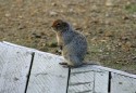 I did have an audience