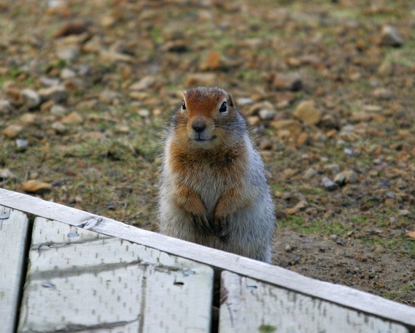 Who me?