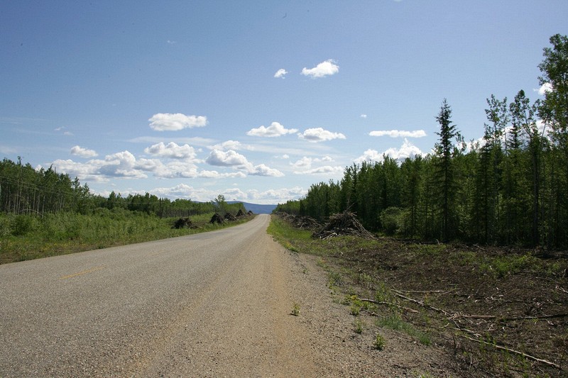 This is along the Klondike Highway to Whitehorse. Some construction and they are clearing the trees and brush on both sides.  I was told this was to make it easier to see wildlife that might be crossing the road.