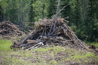 This is along the Klondike Highway to Whitehorse. Some construction and they are clearing the trees and brush on both sides.  I was told this was to make it easier to see wildlife that might be crossing the road.