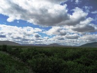 Along the Dempster Highway