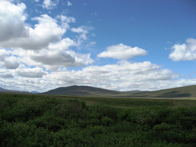 Along the Dempster Highway
