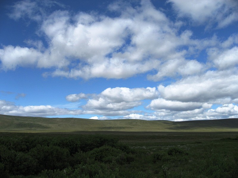 Along the Dempster Highway
