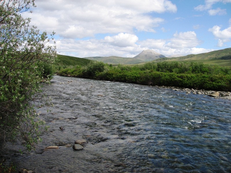 Along the Dempster Highway