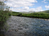 Along the Dempster Highway