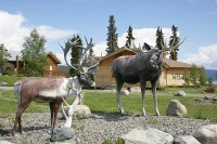 Teslin, Yukon