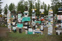 Sign post forest in Watson Lake, Yukon