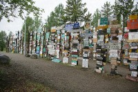 Sign post forest in Watson Lake, Yukon