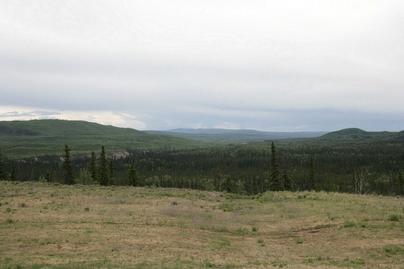 Along the Alaska Highway