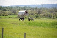 Fort St John, BC to Jasper, AB