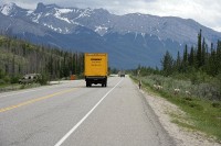 A heard of goats pretty much dominated the roadway into Jasper.