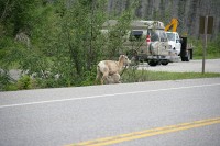 A bad place for a snack stop
