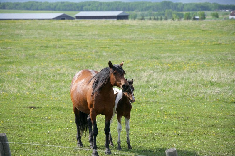 Then another pair came over, but they tried to appear disinterested