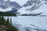 Usually a bright turquise, the late sun and lingering ice make this shot of Bow Lake  look more like winter than the beginning of June.