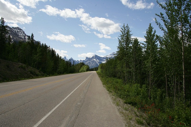 The Icefields Highway