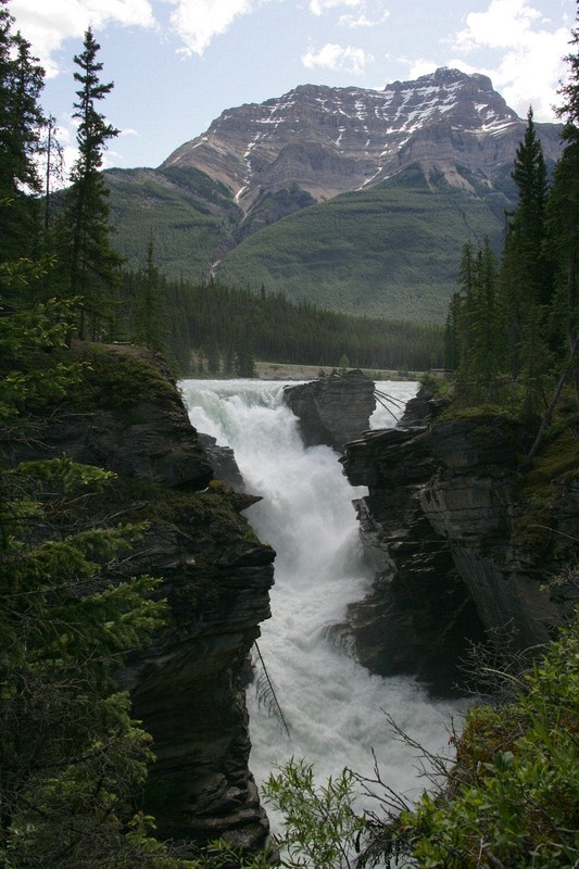 The Icefields Highway