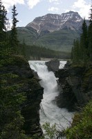 The Icefields Highway
