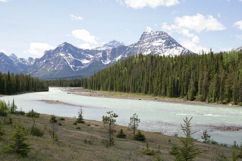 The Icefields Highway