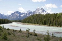 The Icefields Highway