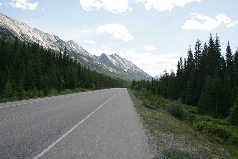 The Icefields Highway