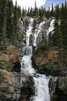 The Icefields Highway