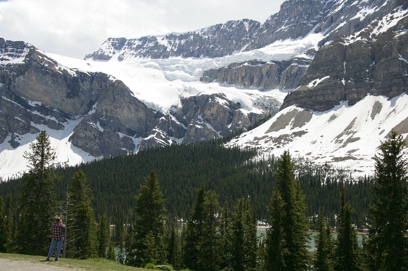 The Icefields Highway
